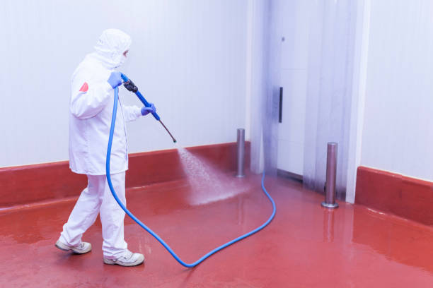 Best Boat and Dock Cleaning  in Woodville, CA