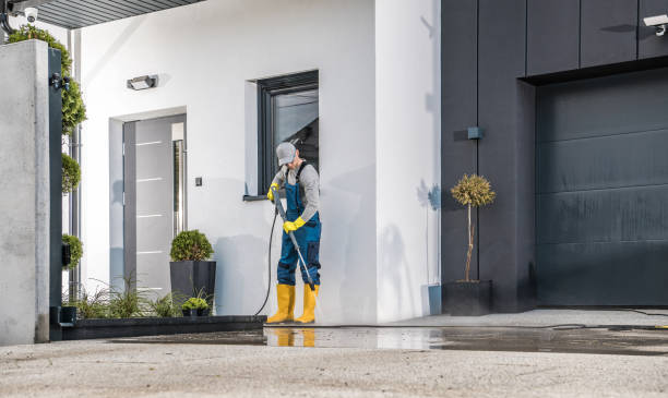 Best Roof Washing  in Woodville, CA