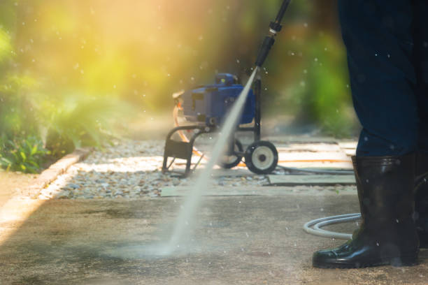 Best Roof Washing  in Woodville, CA